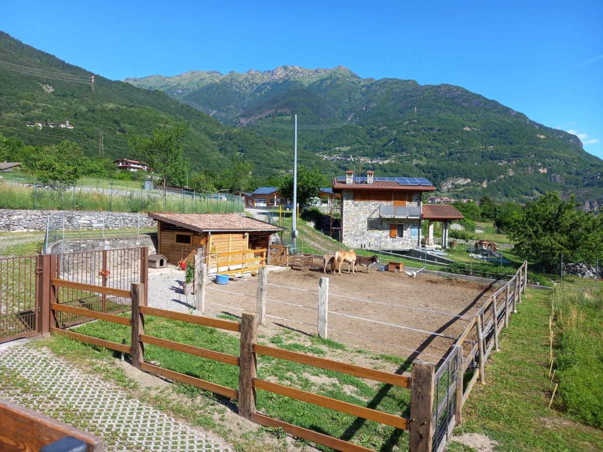 Azienda Agricola Agriturismo I Sei Petali Capo di Ponte エクステリア 写真
