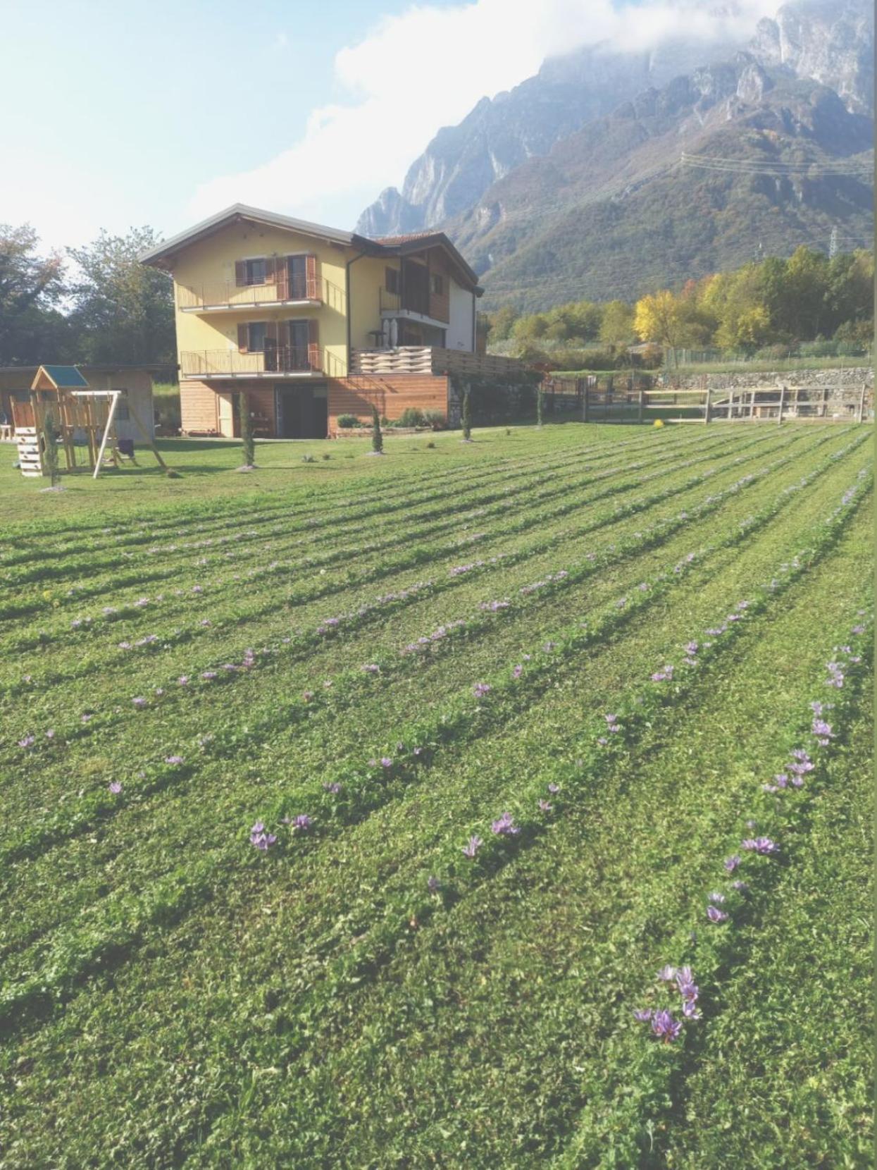 Azienda Agricola Agriturismo I Sei Petali Capo di Ponte エクステリア 写真